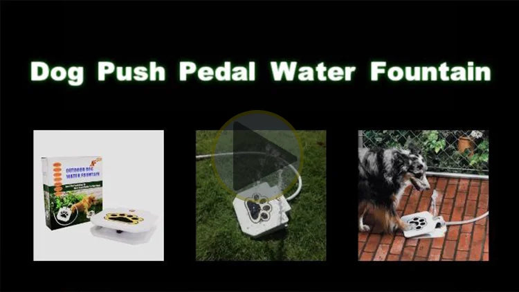 "Best-selling automatic pet water fountain and feeder, designed for large dogs, with paw-shaped water features for easy hydration and feeding."