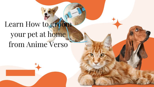 Cartão de oferta anime verso