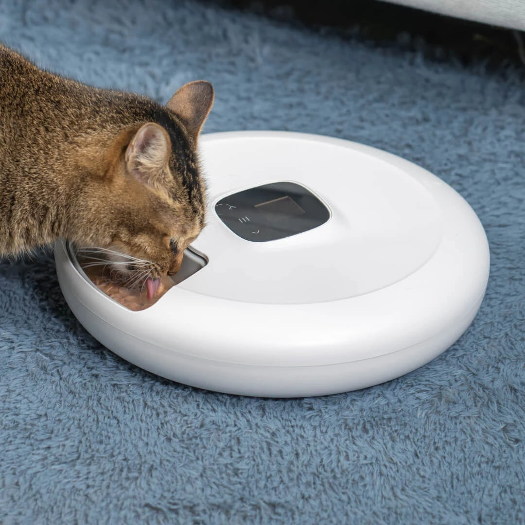 "Automatic cat feeder with smart dry food dispenser, triple storage compartments, stainless steel bowl, and spinner lid, serving up to six meals for your pet."